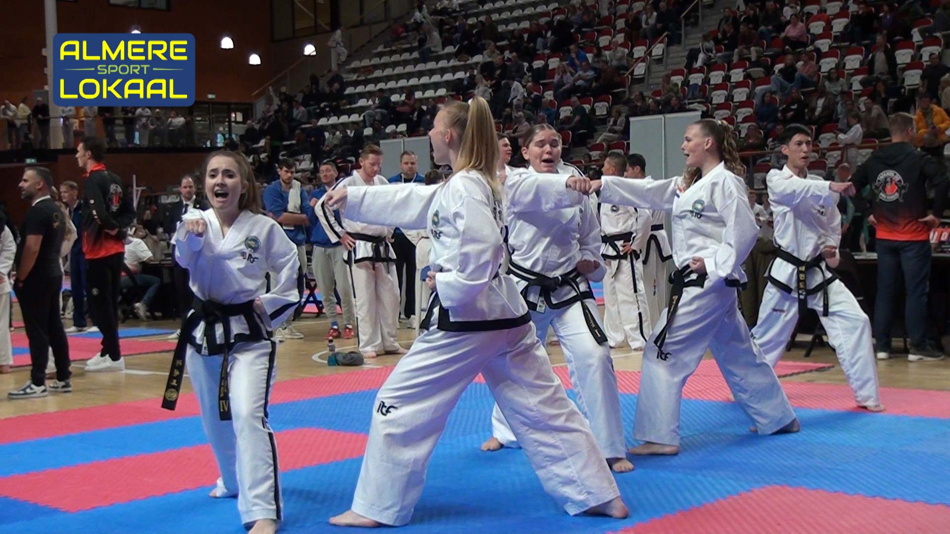 taekwondo onderdeel team tools uitgevoerd op wereld niveau